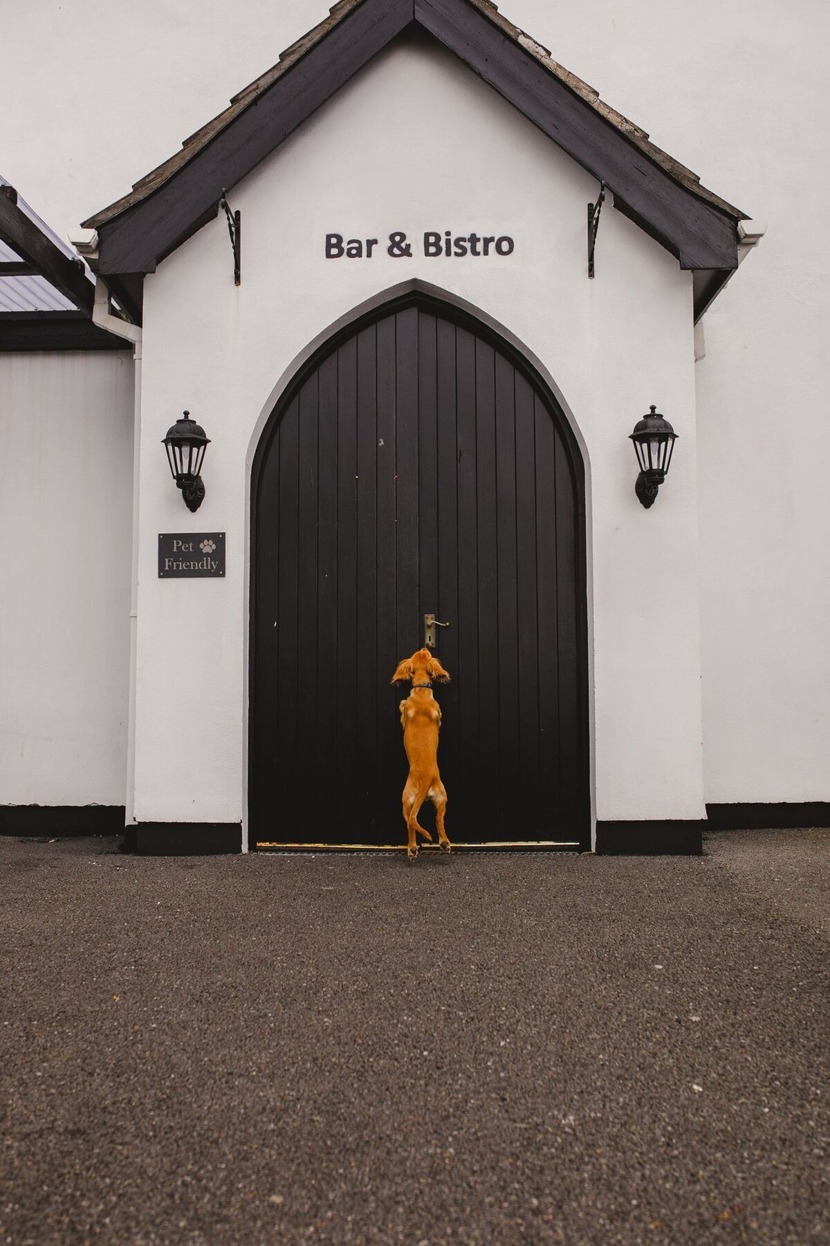 Inn On The Coast Portrush Exterior photo